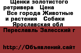 Щенки золотистого ретривера › Цена ­ 15 000 - Все города Животные и растения » Собаки   . Ярославская обл.,Переславль-Залесский г.